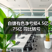 白银有色净亏损4.5亿-6.75亿 同比转亏(图2) 白银有色净亏损4.5亿-6.75亿 同比转亏(图2)