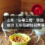 山东“头号工程”擎旗奋进 五年砥砺铸就新篇(图2) 山东“头号工程”擎旗奋进 五年砥砺铸就新篇(图2)