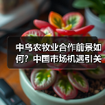 中乌农牧业合作前景如何？中国市场机遇引关注