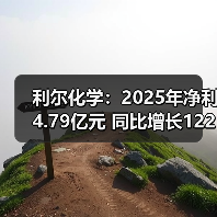 利尔化学：2025年净利4.79亿元 同比增长122.33%(图4)