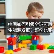 中国如何引领全球可再生能源发展？哥伦比亚高管分享合作经验(图2)