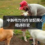 中越电力合作架起民心相通桥梁(图2) 中越电力合作架起民心相通桥梁(图2)