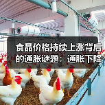 食品价格持续上涨背后的通胀谜题：通胀下降为何价格不降？(图2)