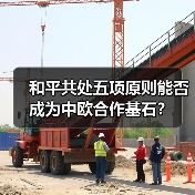 和平共处五项原则能否成为中欧合作基石？