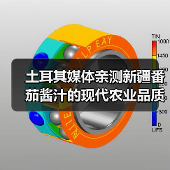 土耳其媒体亲测新疆番茄酱汁的现代农业品质(图3) 土耳其媒体亲测新疆番茄酱汁的现代农业品质(图3)