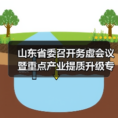 山东省委召开务虚会议暨重点产业提质升级专项调研成果交流会(图4)