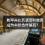 和平共处五项原则能否成为中欧合作基石?(图4) 和平共处五项原则能否成为中欧合作基石?(图4)
