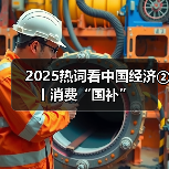 2025热词看中国经济②丨消费“国补”(图4) 2025热词看中国经济②丨消费“国补”(图4)