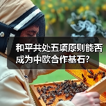和平共处五项原则能否成为中欧合作基石?(图3) 和平共处五项原则能否成为中欧合作基石?(图3)