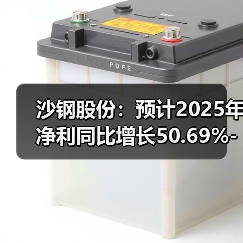 沙钢股份:预计2025年净利同比增长50.69%-78.37%(图3) 沙钢股份:预计2025年净利同比增长50.69%-78.37%(图2)