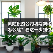 风险投资公司初期架构怎么建?看这一步到位方案(图1) 风险投资公司初期架构怎么建?看这一步到位方案(图1)