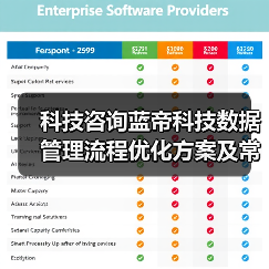 科技咨询蓝帝科技数据管理流程优化方案及常