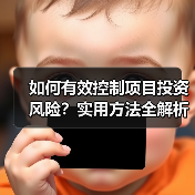 如何有效控制项目投资风险？实用方法全解析 - 玄熵新龙谷信息港