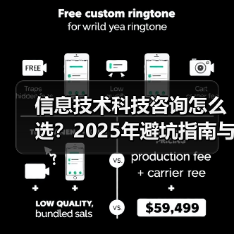 信息技术科技咨询怎么选？2025年避坑指